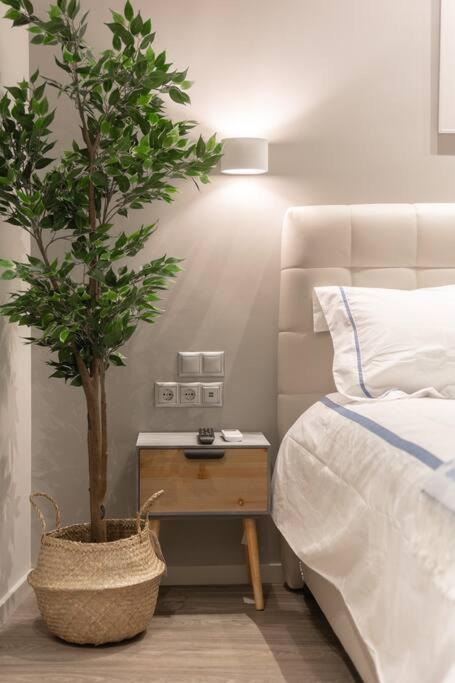 A11 Pristine & Comfy Studio Near Plaka & Parthenon Athene Buitenkant foto